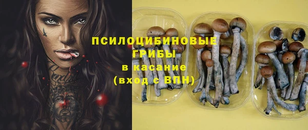 PSILOCYBIN Аша
