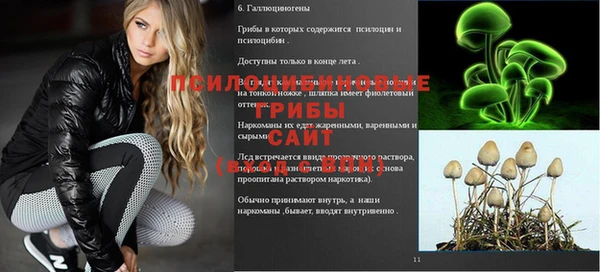 сатива Зеленодольск