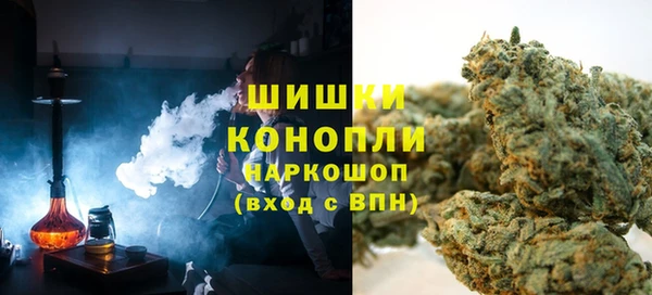 сатива Зеленодольск