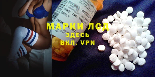 PSILOCYBIN Аша