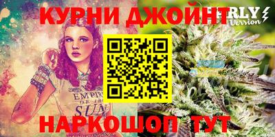 spice Камень-на-Оби