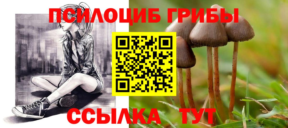 Псилоцибиновые грибы Psilocybe  Псилоцибиновые грибы MAGIC MUSHROOMS  Вход с VPN  Канск 