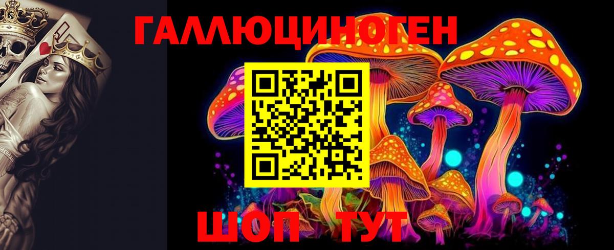 Галлюциногенные грибы Psilocybine cubensis Канск