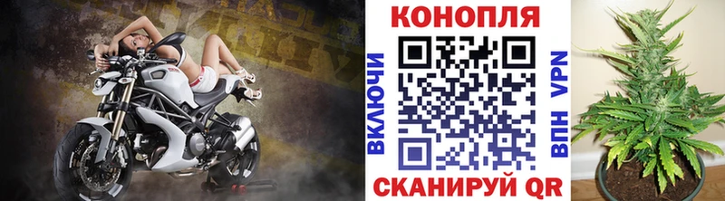 Бошки марихуана гибрид  Канск 